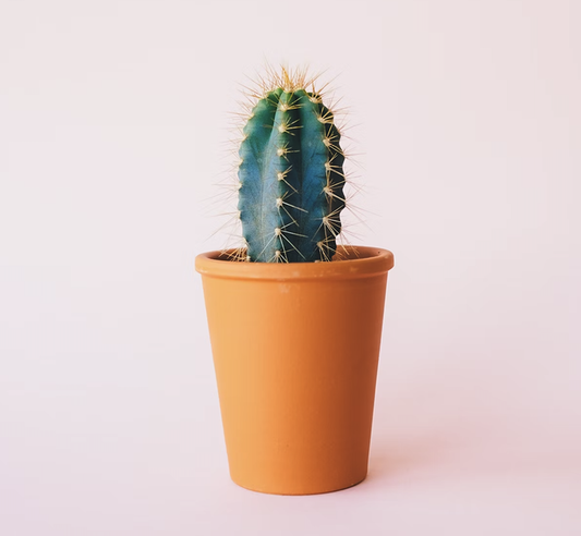 Product coming soon